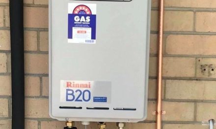 Five Reasons to Use a Professional Plumber for Your Hot Water Systems in Perth