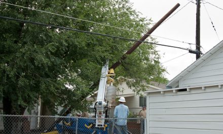 The Risks of DIY: Why Professional Services Are Essential for Private Power Pole Installation in Perth
