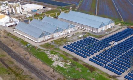Electrifying Remote & Off-Grid Commercial Facilities in Perth