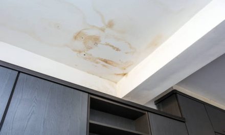 Is That Mould or a Water Leak? Distinguishing Water Damage Signs in Your Bathroom
