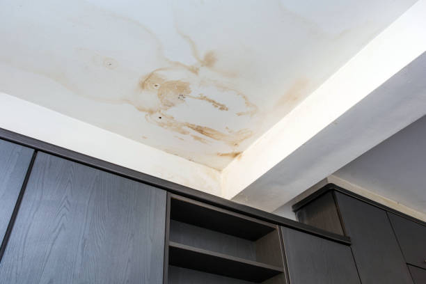 Is That Mould or a Water Leak? Distinguishing Water Damage Signs in Your Bathroom