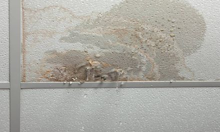 The Cost of Ignoring a Bathroom Leak: Long-Term Impacts on Your Home’s Structure