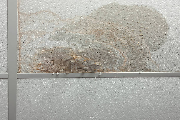 The Cost of Ignoring a Bathroom Leak: Long-Term Impacts on Your Home’s Structure