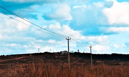 Insurance Implications of Private Power Poles in Perth: Coverage, Premiums & Claims