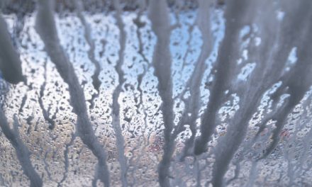 The Role of Window Cleaning in Perth’s Hospitality Sector: A Statistical Insight