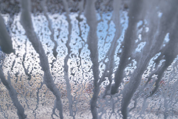 The Role of Window Cleaning in Perth’s Hospitality Sector: A Statistical Insight